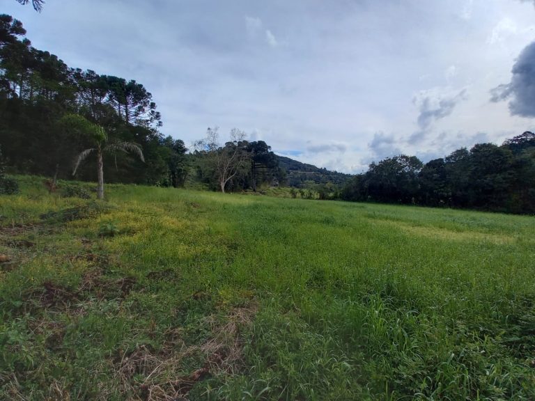 B-810     ÁREA DE TERRAS EM IGREJINHA