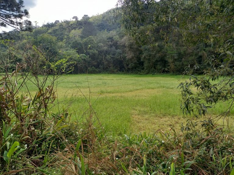 B-810     ÁREA DE TERRAS EM IGREJINHA