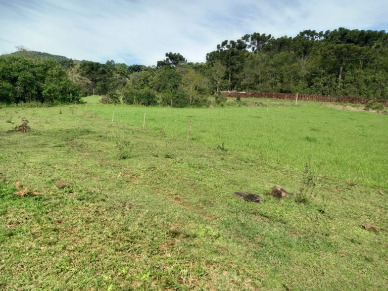 B-810     ÁREA DE TERRAS EM IGREJINHA