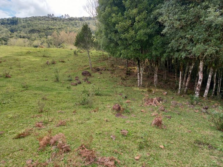 B-810     ÁREA DE TERRAS EM IGREJINHA