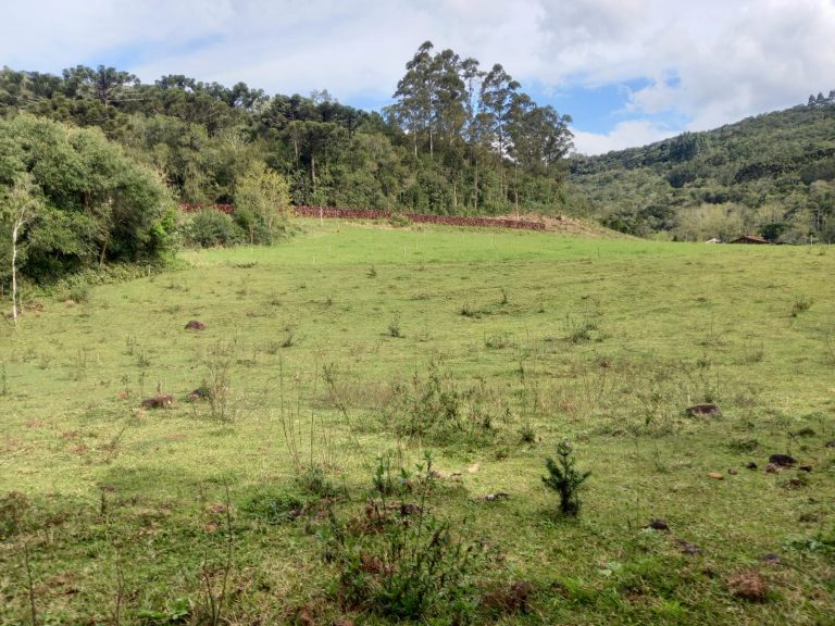 B-810     ÁREA DE TERRAS EM IGREJINHA