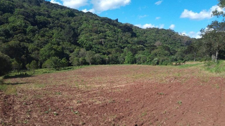 B-810     ÁREA DE TERRAS EM IGREJINHA