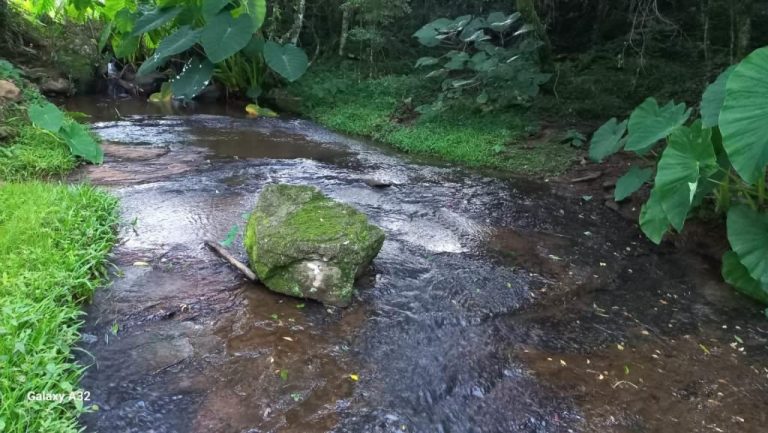 B-406     SÍTIO COMPLETO COM CASA, PISCINA, RIACHO E CASCATA!!!