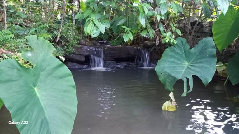 B-406     SÍTIO COMPLETO COM CASA, PISCINA, RIACHO E CASCATA!!!