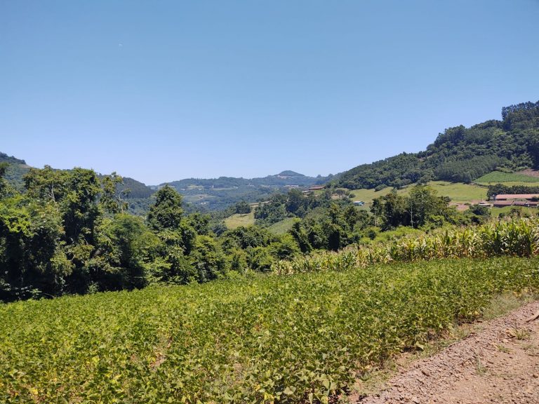 B – 761     ÁREA DE TERRAS EM SANTA MARIA DO HERVAL