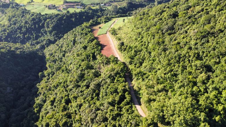 B – 761     ÁREA DE TERRAS EM SANTA MARIA DO HERVAL