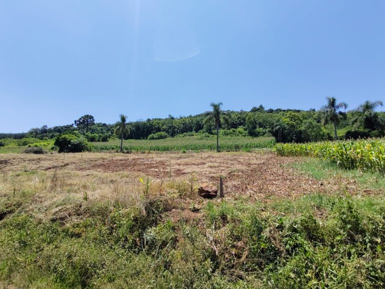 B – 761     ÁREA DE TERRAS EM SANTA MARIA DO HERVAL
