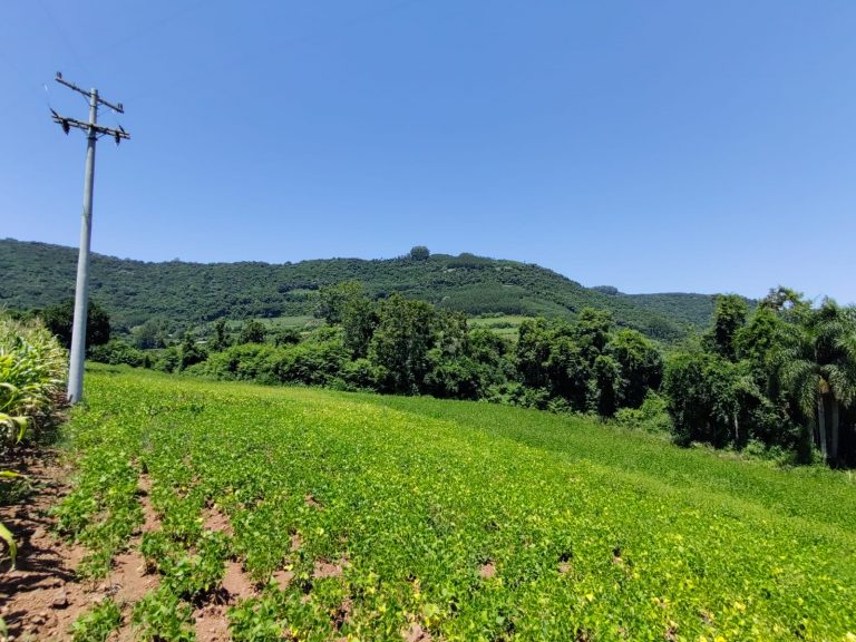 B – 761     ÁREA DE TERRAS EM SANTA MARIA DO HERVAL