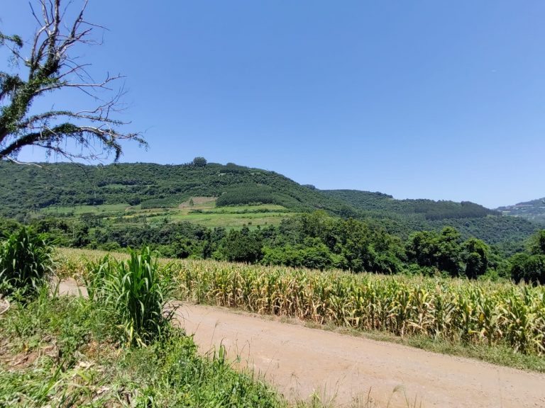 B – 761     ÁREA DE TERRAS EM SANTA MARIA DO HERVAL