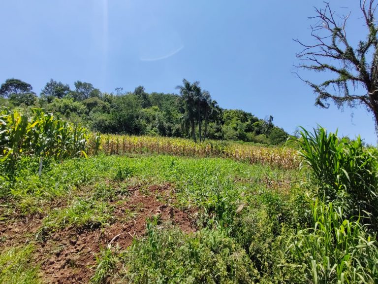 B – 761     ÁREA DE TERRAS EM SANTA MARIA DO HERVAL