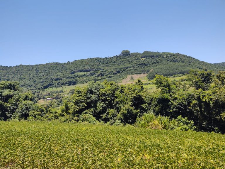 B – 761     ÁREA DE TERRAS EM SANTA MARIA DO HERVAL
