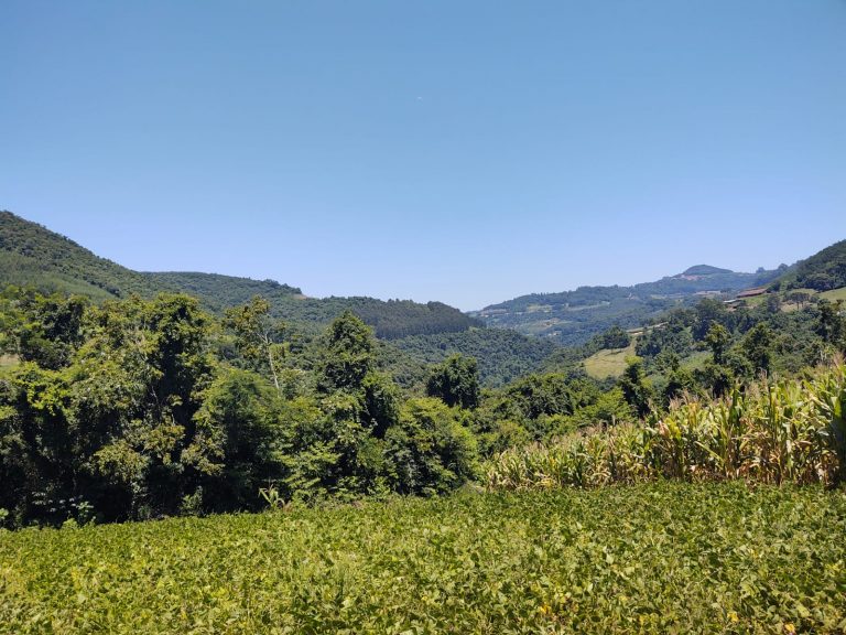 B – 761     ÁREA DE TERRAS EM SANTA MARIA DO HERVAL