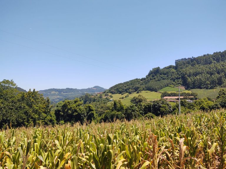 B – 761     ÁREA DE TERRAS EM SANTA MARIA DO HERVAL
