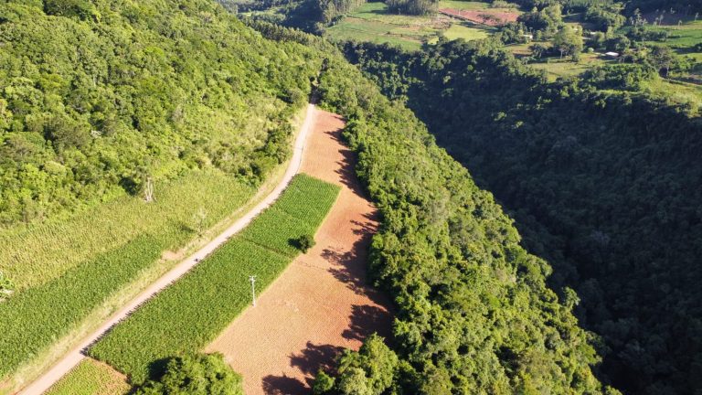 B – 761     ÁREA DE TERRAS EM SANTA MARIA DO HERVAL