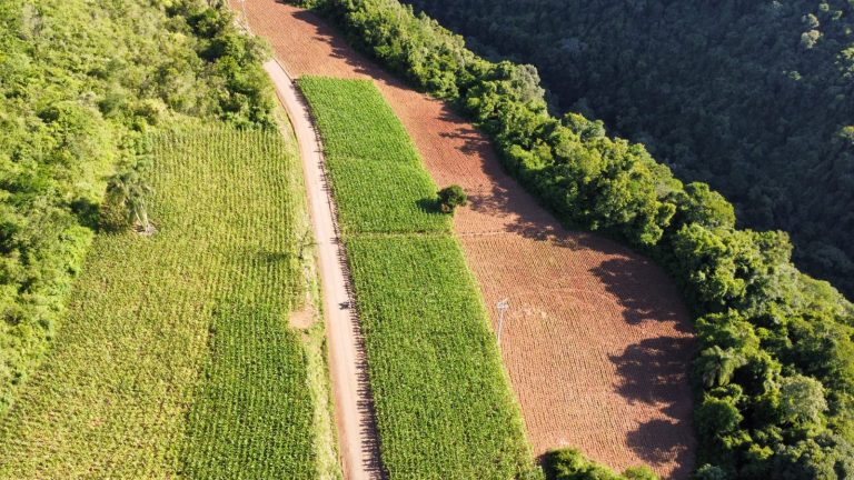 B – 761     ÁREA DE TERRAS EM SANTA MARIA DO HERVAL
