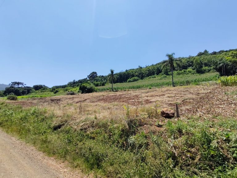 B – 761     ÁREA DE TERRAS EM SANTA MARIA DO HERVAL