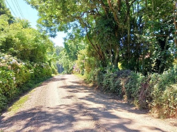 B-556     ÁREA TERRAS PERTINHO DA RS 235 NA LINHA BRASIL-NOVA PETRÓPOLIS!!!