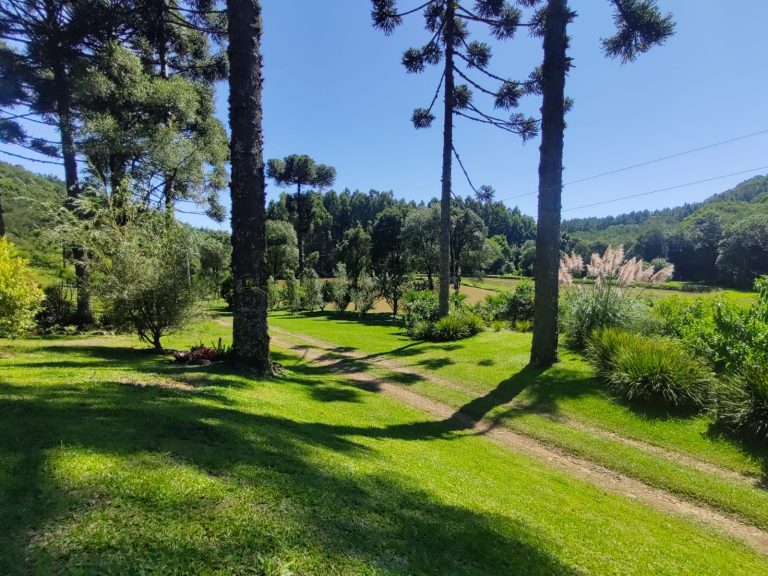 B – 765     ÁREA DE TERRAS EM SANTA MARIA DO HERVAL