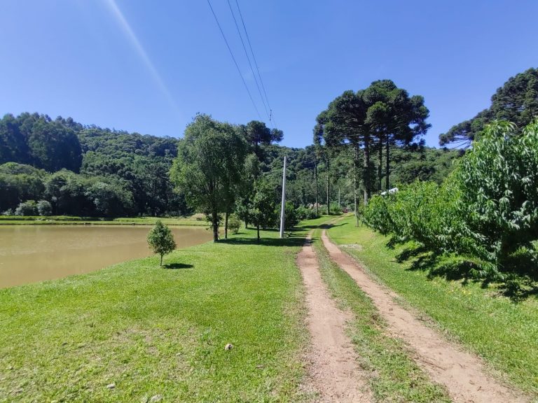 B – 765     ÁREA DE TERRAS EM SANTA MARIA DO HERVAL
