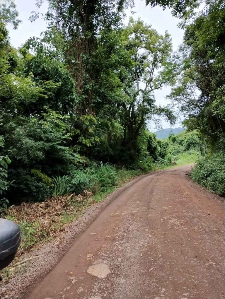 B – 761     ÁREA DE TERRAS EM SANTA MARIA DO HERVAL