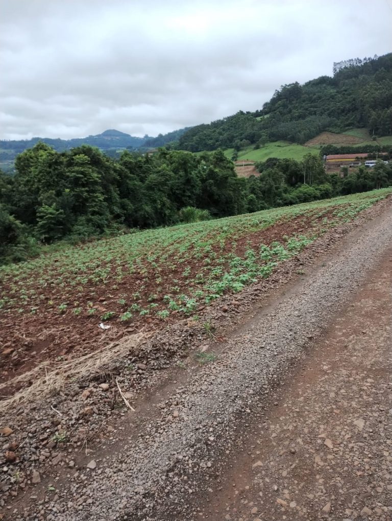 B – 761     ÁREA DE TERRAS EM SANTA MARIA DO HERVAL