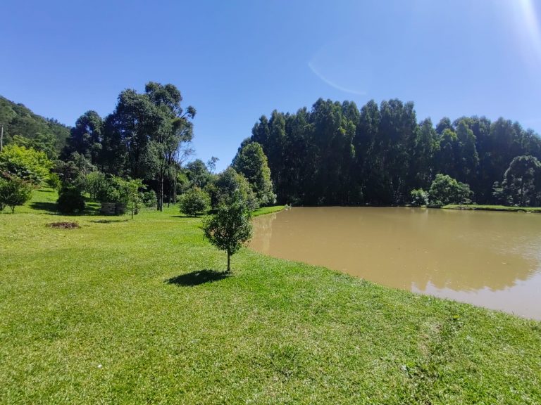 B – 765     ÁREA DE TERRAS EM SANTA MARIA DO HERVAL