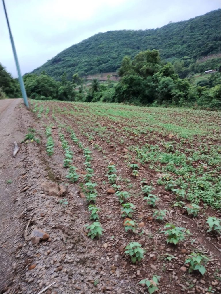 B – 761     ÁREA DE TERRAS EM SANTA MARIA DO HERVAL