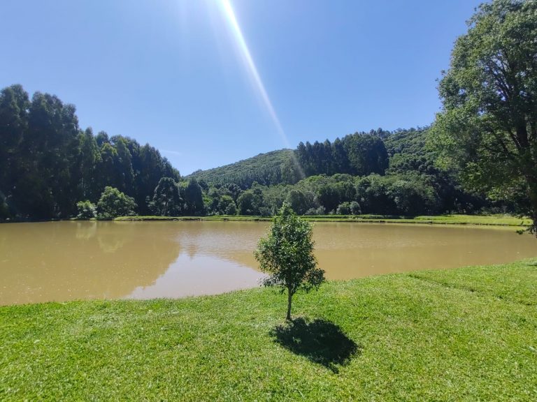 B – 765     ÁREA DE TERRAS EM SANTA MARIA DO HERVAL