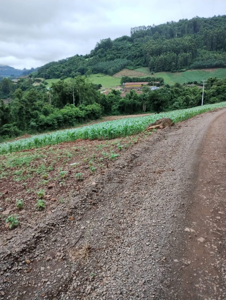 B – 761     ÁREA DE TERRAS EM SANTA MARIA DO HERVAL