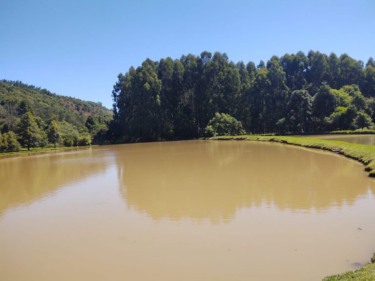 B – 765     ÁREA DE TERRAS EM SANTA MARIA DO HERVAL