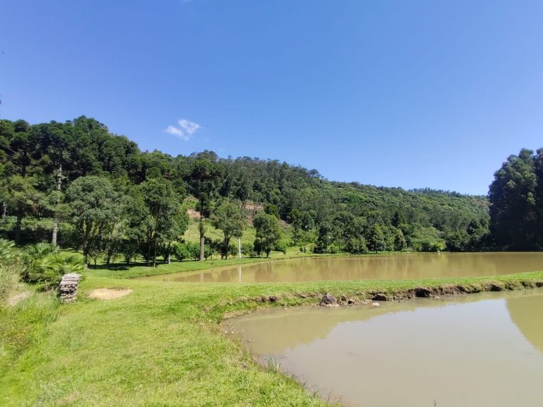 B – 765     ÁREA DE TERRAS EM SANTA MARIA DO HERVAL