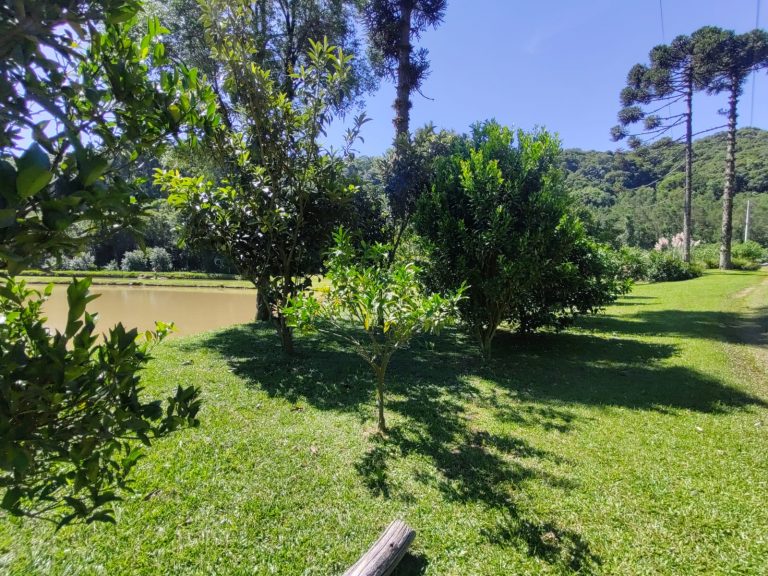 B – 765     ÁREA DE TERRAS EM SANTA MARIA DO HERVAL