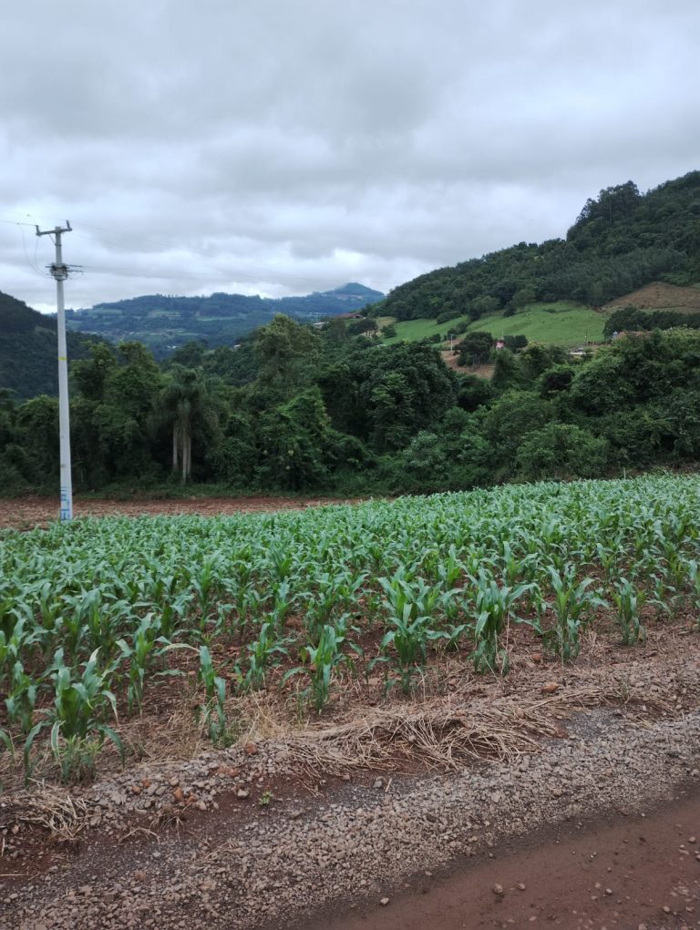 B – 761     ÁREA DE TERRAS EM SANTA MARIA DO HERVAL