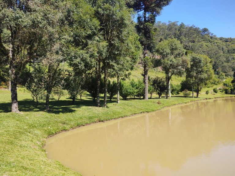 B – 765     ÁREA DE TERRAS EM SANTA MARIA DO HERVAL