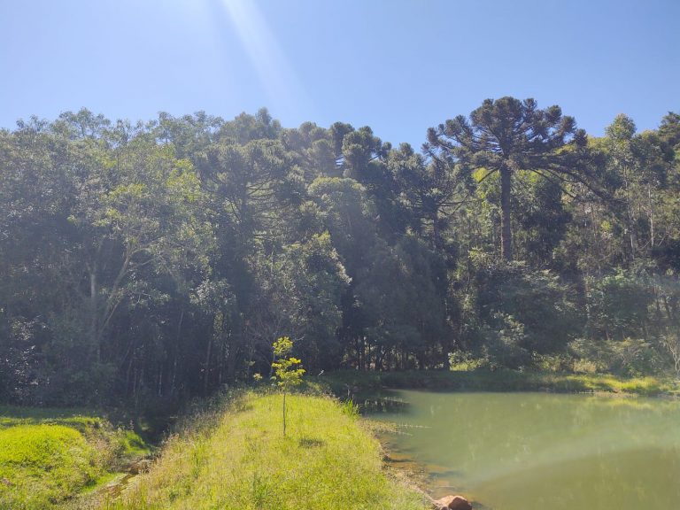 B – 765     ÁREA DE TERRAS EM SANTA MARIA DO HERVAL