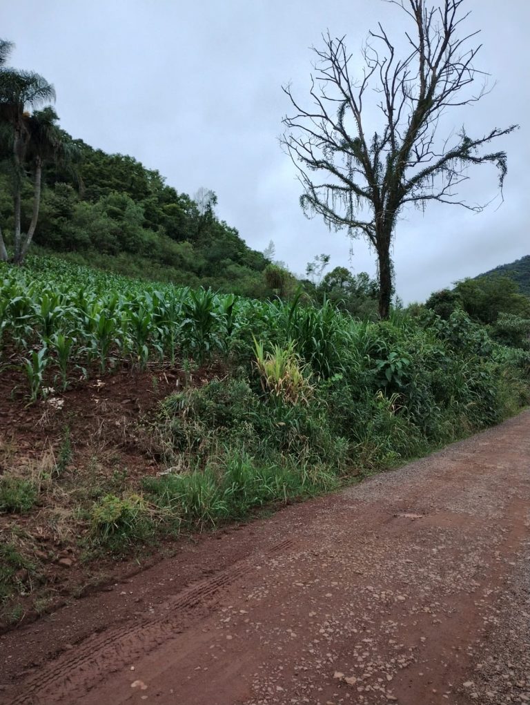 B – 761     ÁREA DE TERRAS EM SANTA MARIA DO HERVAL