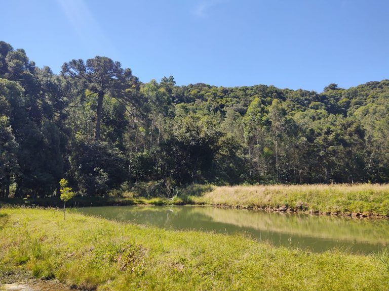 B – 765     ÁREA DE TERRAS EM SANTA MARIA DO HERVAL