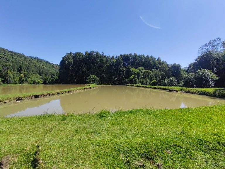 B – 765     ÁREA DE TERRAS EM SANTA MARIA DO HERVAL
