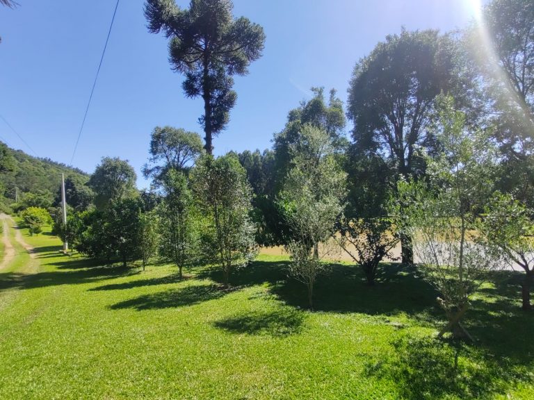 B – 765     ÁREA DE TERRAS EM SANTA MARIA DO HERVAL