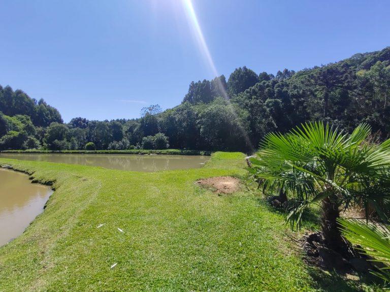 B – 765     ÁREA DE TERRAS EM SANTA MARIA DO HERVAL