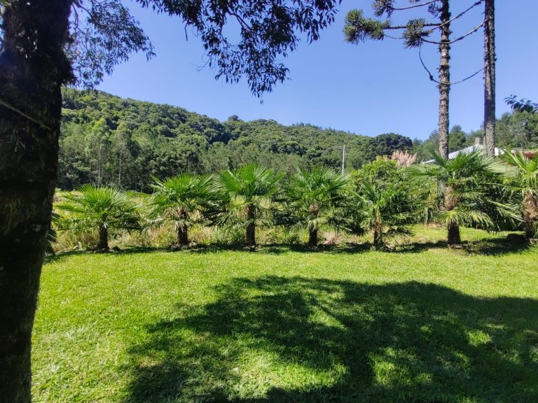 B – 765     ÁREA DE TERRAS EM SANTA MARIA DO HERVAL