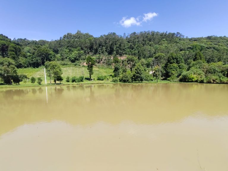 B – 765     ÁREA DE TERRAS EM SANTA MARIA DO HERVAL