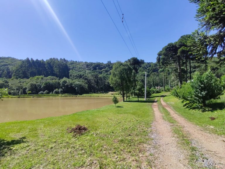B – 765     ÁREA DE TERRAS EM SANTA MARIA DO HERVAL