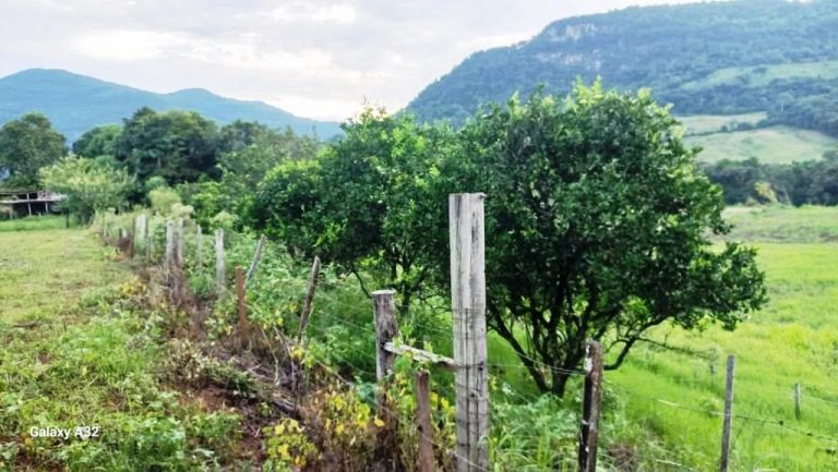 B-538     FANTÁSTICA ÁREA TERRAS, COMPLETAMENTE PLANA E 100% APROVEITÁVEL!!!