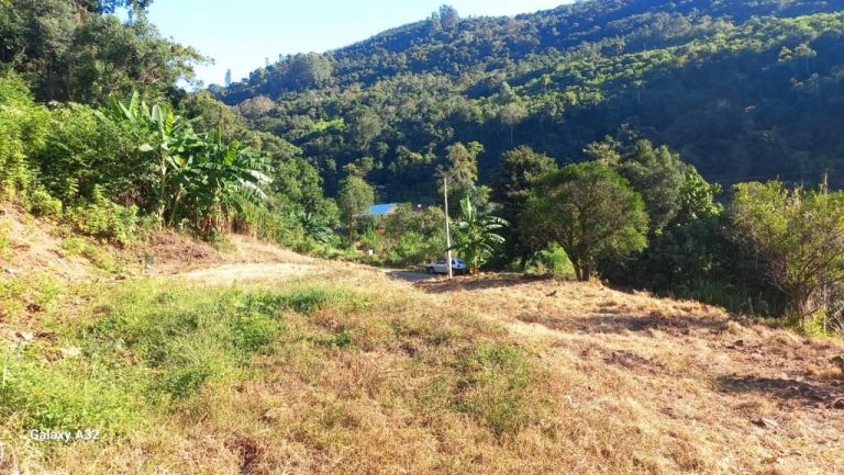 B-555     ÁREA DE TERRAS PARA UM SÍTIO COM LINDA VISTA PANORÂMICA !!!
