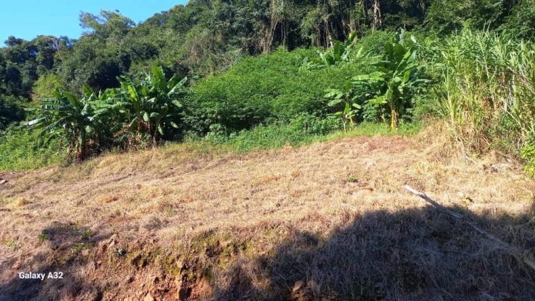 B-555     ÁREA DE TERRAS PARA UM SÍTIO COM LINDA VISTA PANORÂMICA !!!