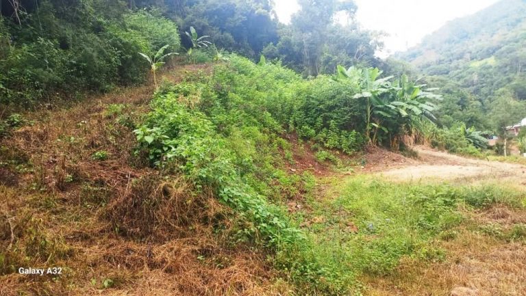 B-555     ÁREA DE TERRAS PARA UM SÍTIO COM LINDA VISTA PANORÂMICA !!!