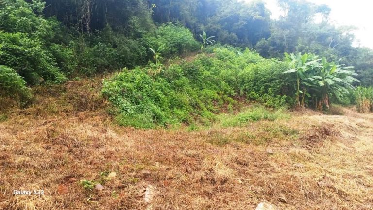 B-555     ÁREA DE TERRAS PARA UM SÍTIO COM LINDA VISTA PANORÂMICA !!!