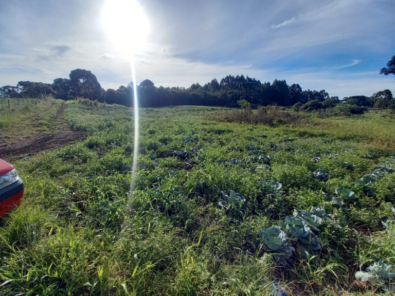 B-854 ÁREA DE TERRAS EM SANTA MARIA DO HERVAL PRÓXIMA A GRAMADO