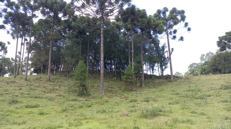 B-853 CHÁCARA EM GRAMADO